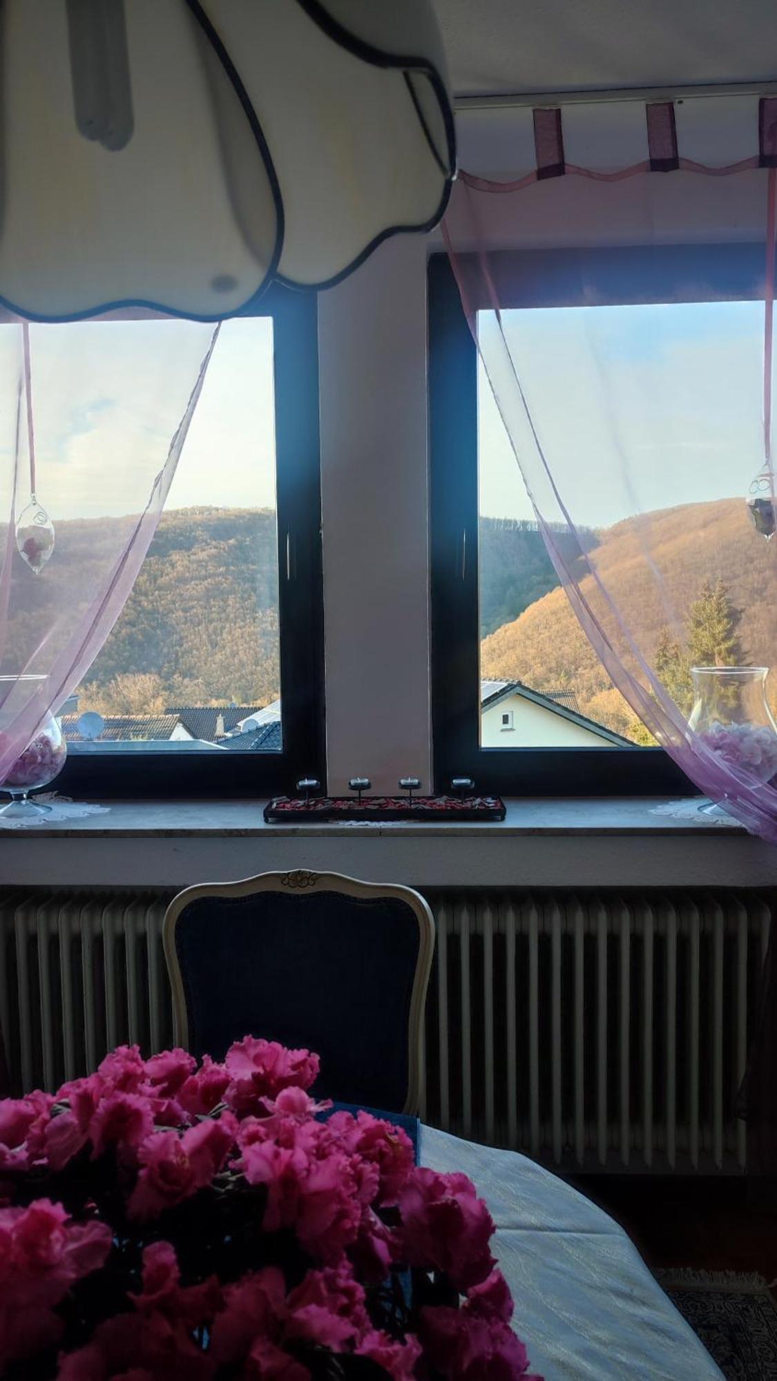 Kermeterblick Appartement Schleiden Buitenkant foto